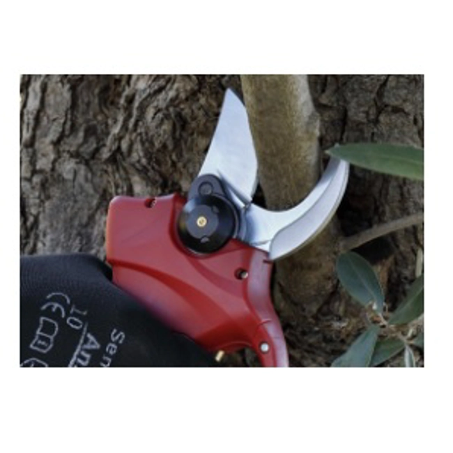 Vendita online Forbice a batteria cordless FE08-32
